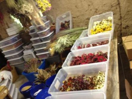 Various boxes full of dried flowers