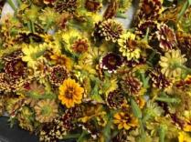 Drying Persian Carpet Zinnias. Same method as shown above. These Zinnias add the most beautiful touch to dried arrangements and yet are the most time-consuming to dry.
